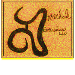 Dvorchak Enterprises, LLC